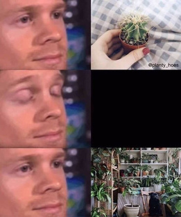 Приколы 😃