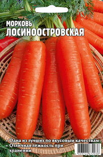 Морковь