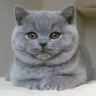 Дарите радость