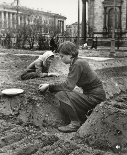 Блокада Ленинграда