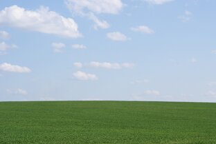 Расстановочные практики и работа поля.