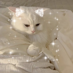 видосики 🟥🟧🟨