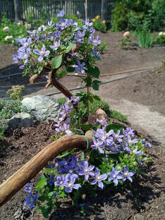 Моя вертикаль