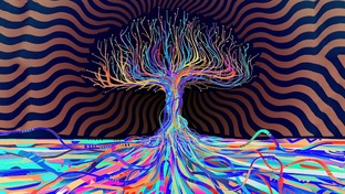Факты