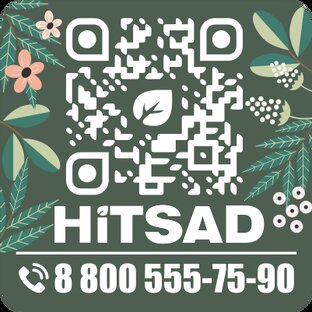 Красивая дача