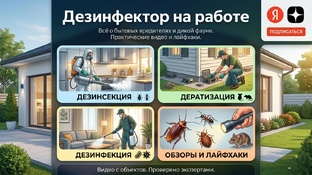 Видео обработки объектов