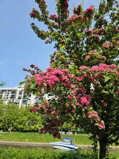 Июнь на 25 тыс. руб. в Санкт-Петербурге. 