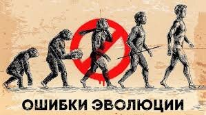 Вопросы к теории эволюции