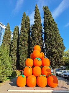 Сочи. Апрель 2024 года