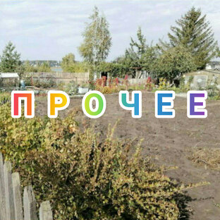 Прочее 