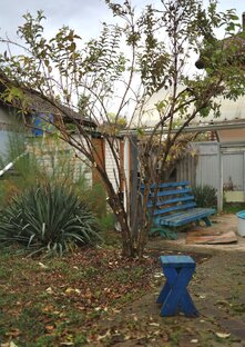 САДОВЫЕ ШТУЧКИ