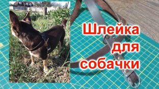 Работа с Кожей
