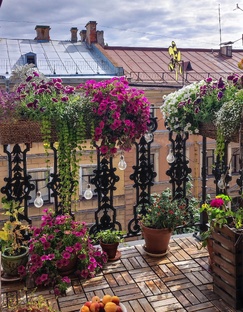 Сад на балконе