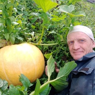 СЕЛЬСКАЯ НОВЬ