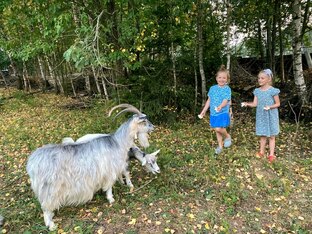 ФОТОГРАФИИ ИЗ ЖИЗНИ ДЕРЕВНИ