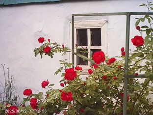 Сокровища других городов