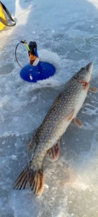 Первый лёд 2024-2025