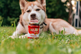 Любимые питомцы