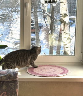 Снегири, 2026