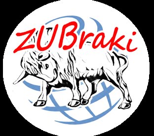 ФЛАГ ВИТЕБСКА