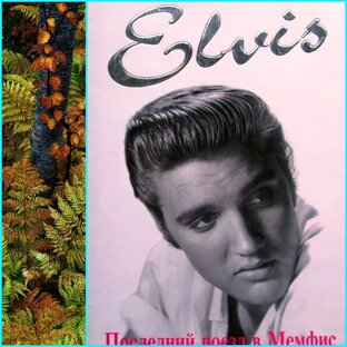 Биографии художественные и документальные