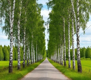 Школьный выпускной и жизнь после