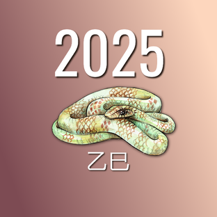 2025 год - год  乙巳 Деревянной Змеи