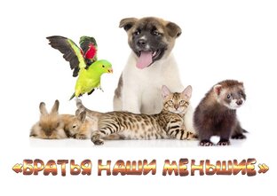 Все и вся для братьев меньших