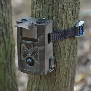 Фотоловушка
