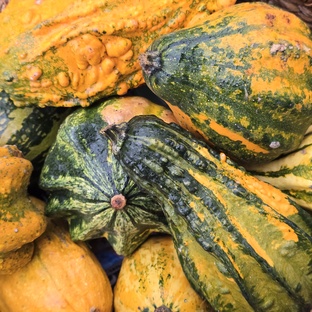 Коллекционерские истории