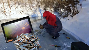 Зима 2025 - 2026г.