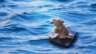 Дневник Айво