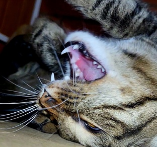 ВЛОГИ.ФЕВРАЛЬ 2025 ГОД