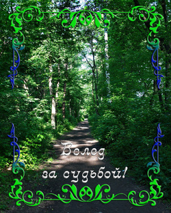 Вслед за судьбой