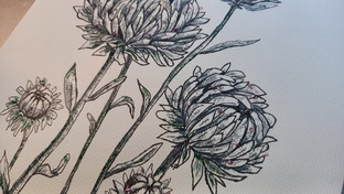 Скетчи и графика