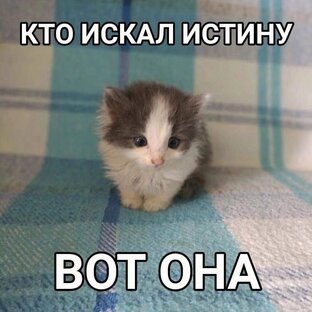 Посты