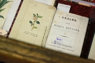 Цветы и искусство