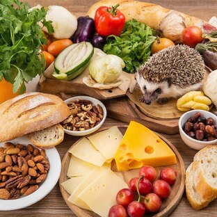 Мир закусок: От классики до экзотики