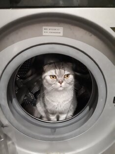 Мечта стать космонавтом.