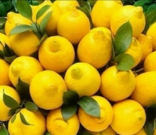 МАРТ месяц 2026