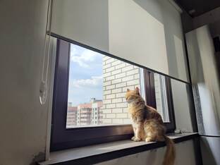 Рулонные шторы. В чем преимущество? 