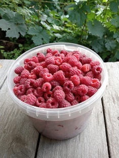 Мои вкусняшки. 