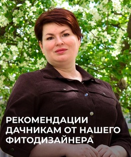 Вопрос-ответ