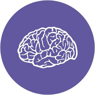 Факты
