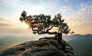 Математика, Время, Реинтеграция