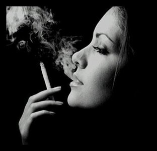 Дневник Невидимки