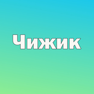Чижик магазин