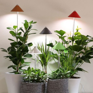 Освещение для растений