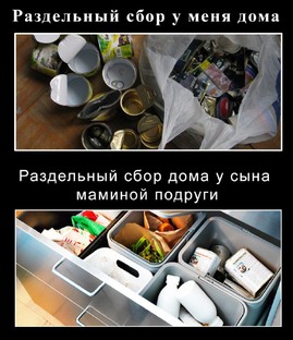 Экомемы