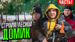 Проект строим дом в лесу